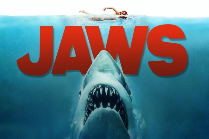 Jaws, tous les détails du prochain Stern