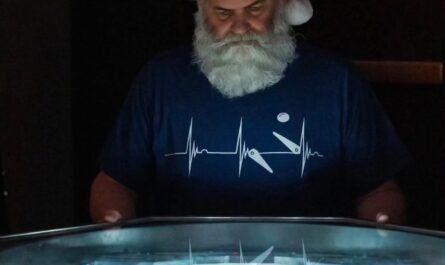 pinball news noel actu flipper